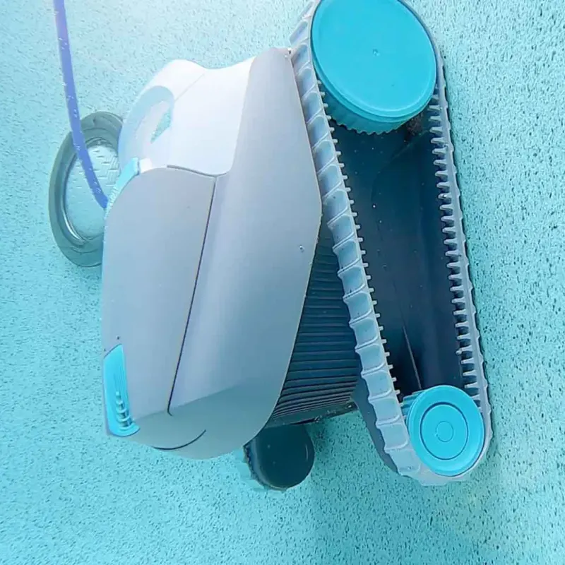 Dolphin Active 15 – photo 3