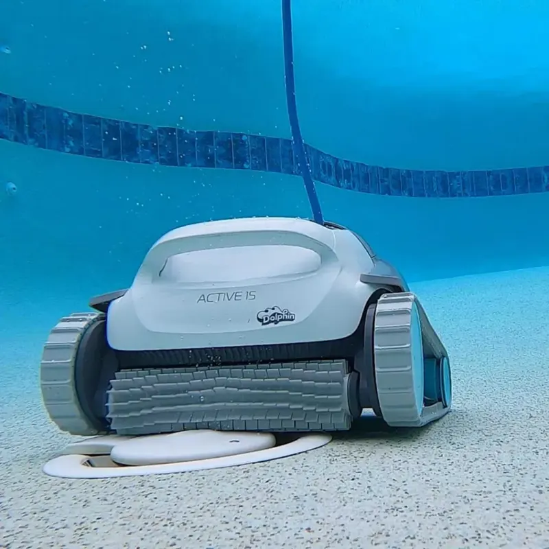 Dolphin Active 15 – photo 4
