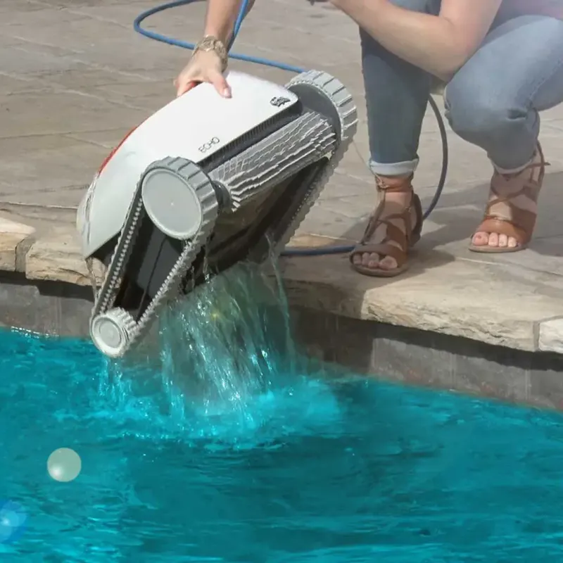 Dolphin Echo – photo 2