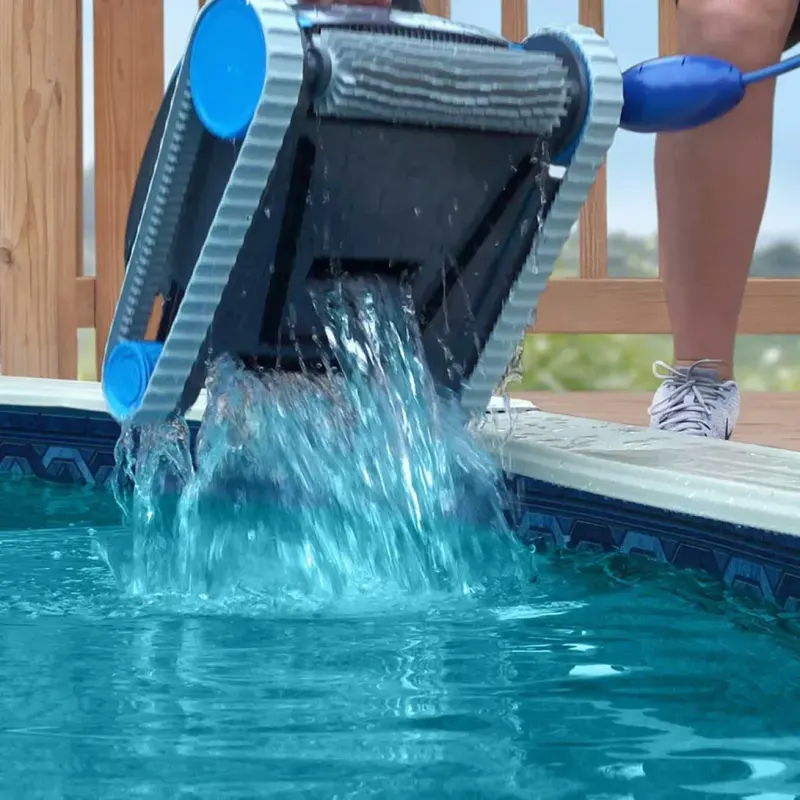 Dolphin Escape – photo 3