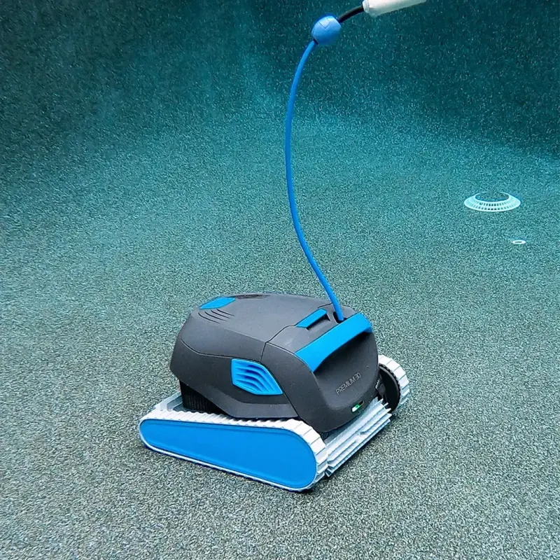 Dolphin Premium 30 – photo 3
