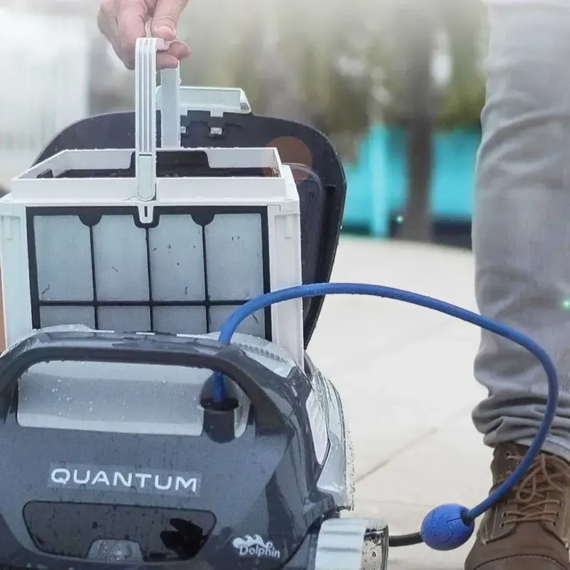 Dolphin Quantum – photo 2