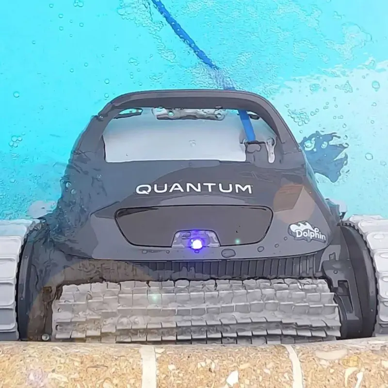 Dolphin Quantum – photo 4