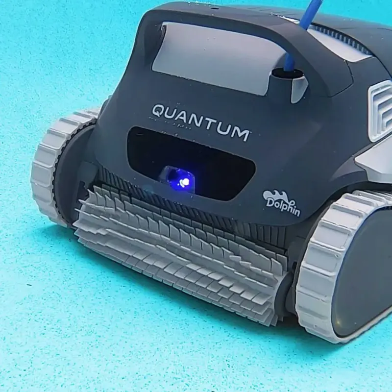 Dolphin Quantum – photo 6