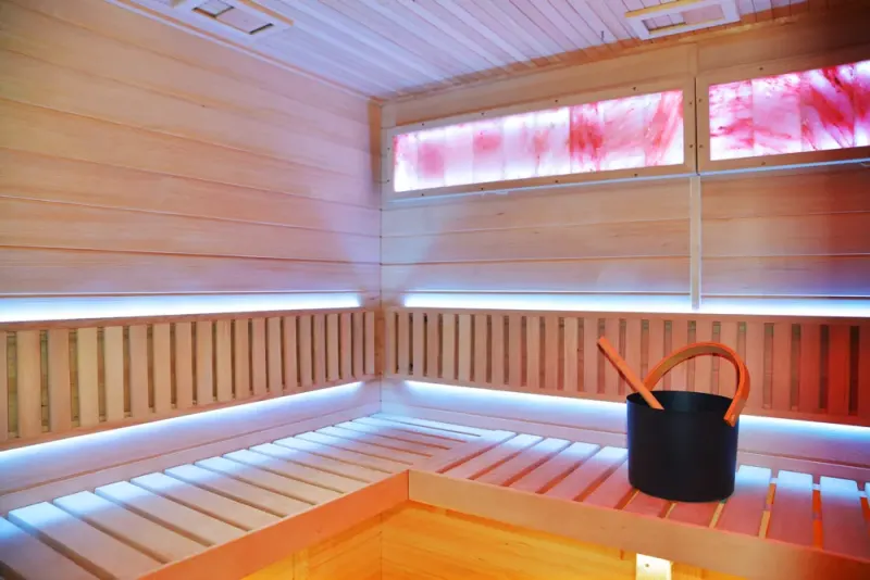 Icelandic TimberSteel 450 sauna – photo 3